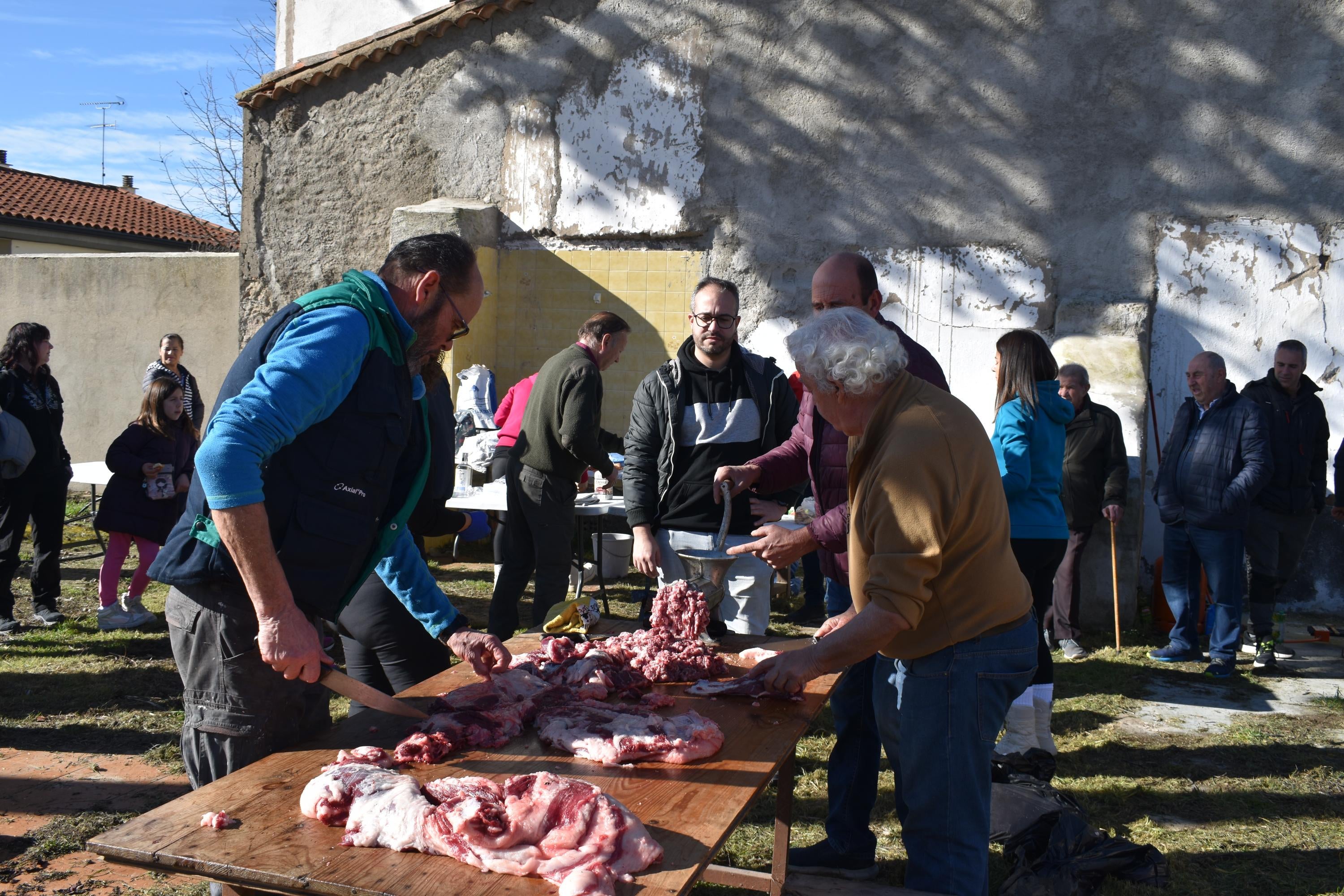 Un cerdo de 200 kilos protagoniza la matanza de Calzada de Valdunciel