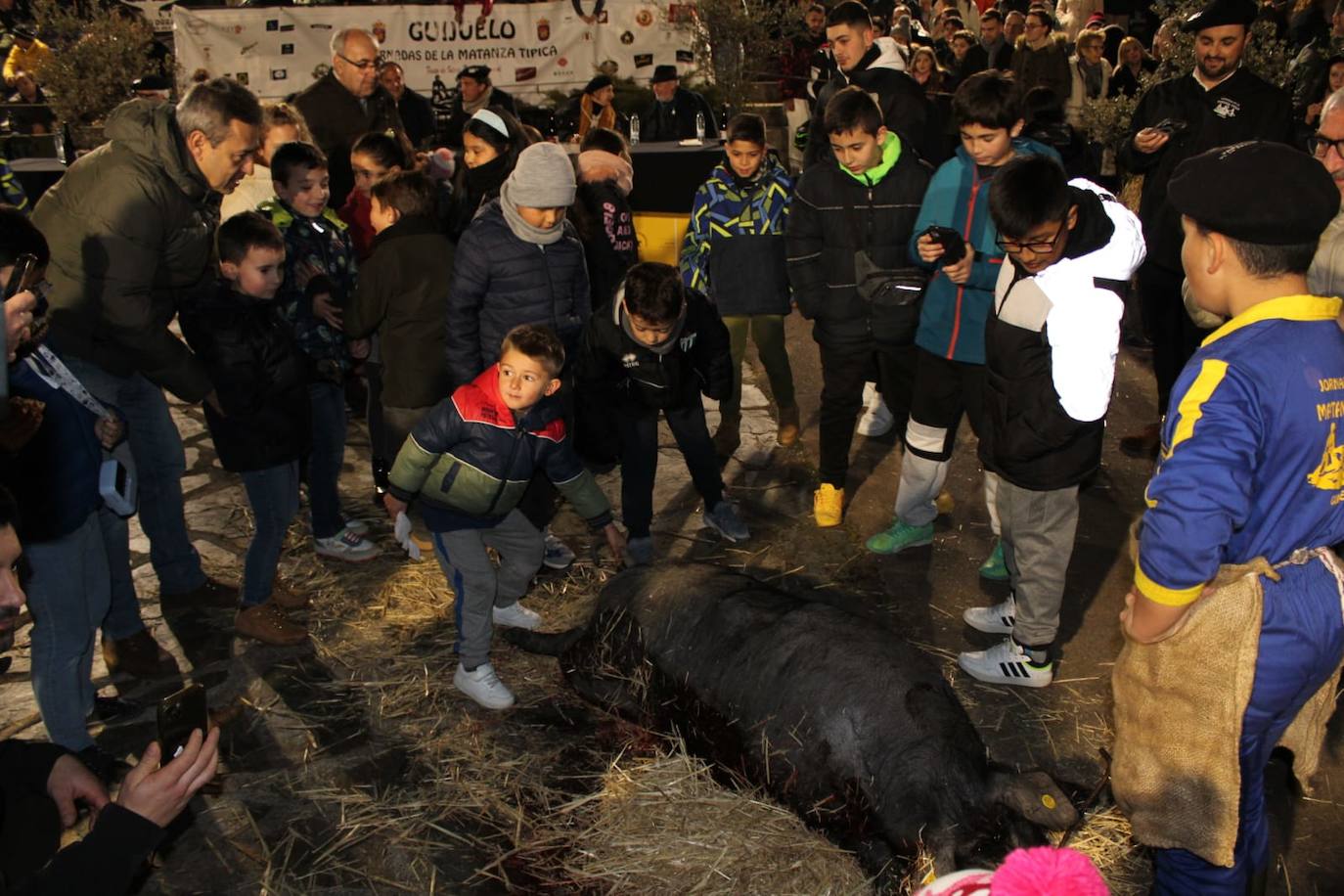 Guijuelo disfruta de su matanza nocturna