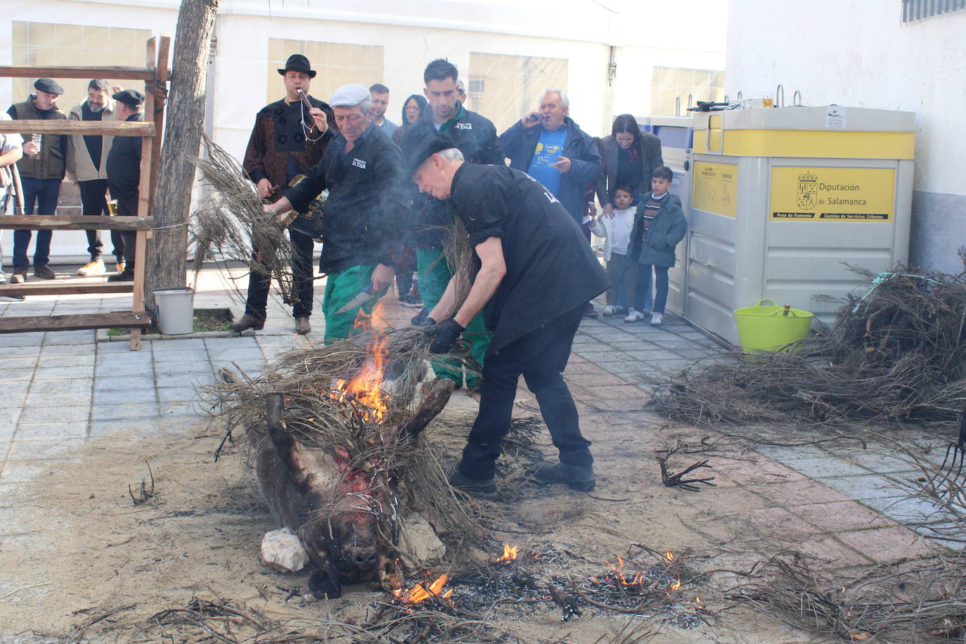 La Tala disfruta de un nuevo lleno en su segunda matanza tradicional