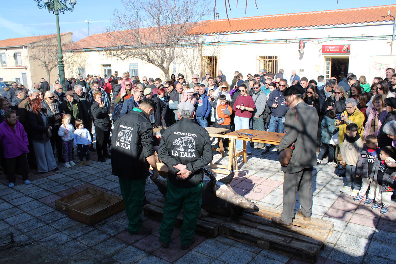 La Tala disfruta de un nuevo lleno en su segunda matanza tradicional