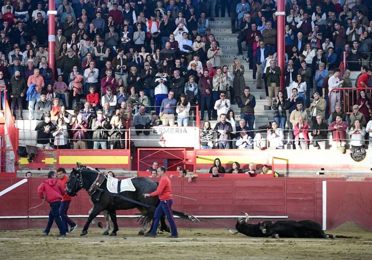 Vuelta al ruedo al toro Vichanero esta tarde en Valdemorillo.