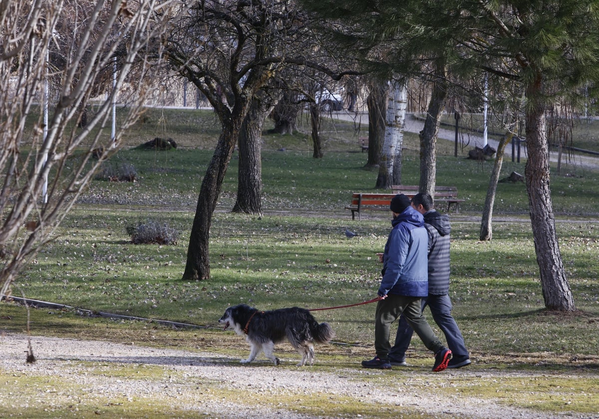 Dos salmantinos pasean con su perro por un parque de la ciudad.