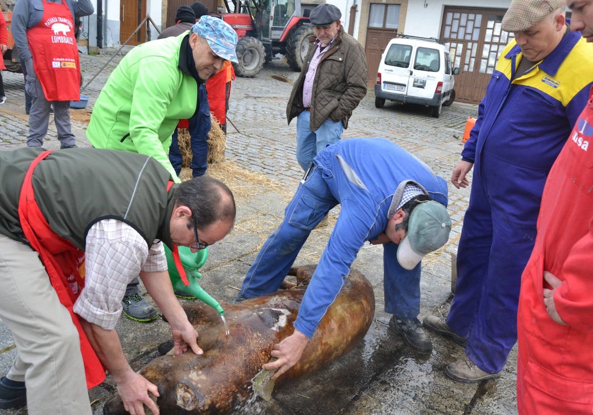 La tradición de la matanza reluce en Lumbrales