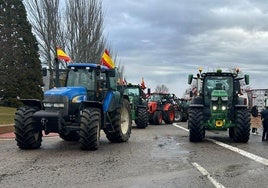 ¿Comparte el malestar de agricultores y ganaderos para volver a protestar en las calles?