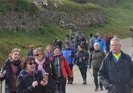 Marcha senderista entre almendros en flor.