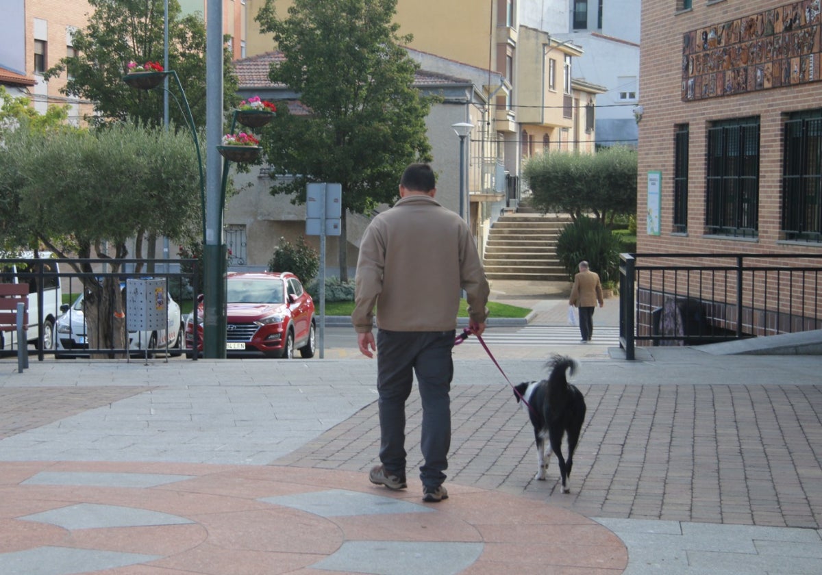 Un hombre pasea con un perro por las calles de Carbajosa.