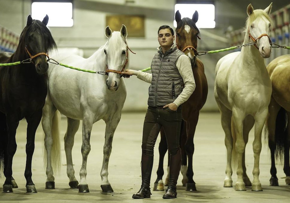 Sergio Pérez de Gregorio, con algunos de sus caballos.