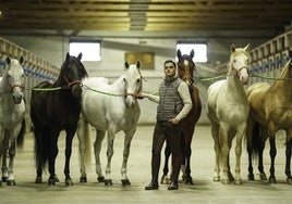 Sergio Pérez de Gregorio, con algunos de sus caballos.