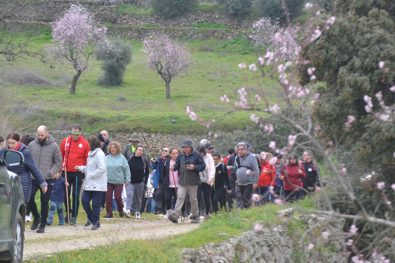 Un bello paseo entre almendros