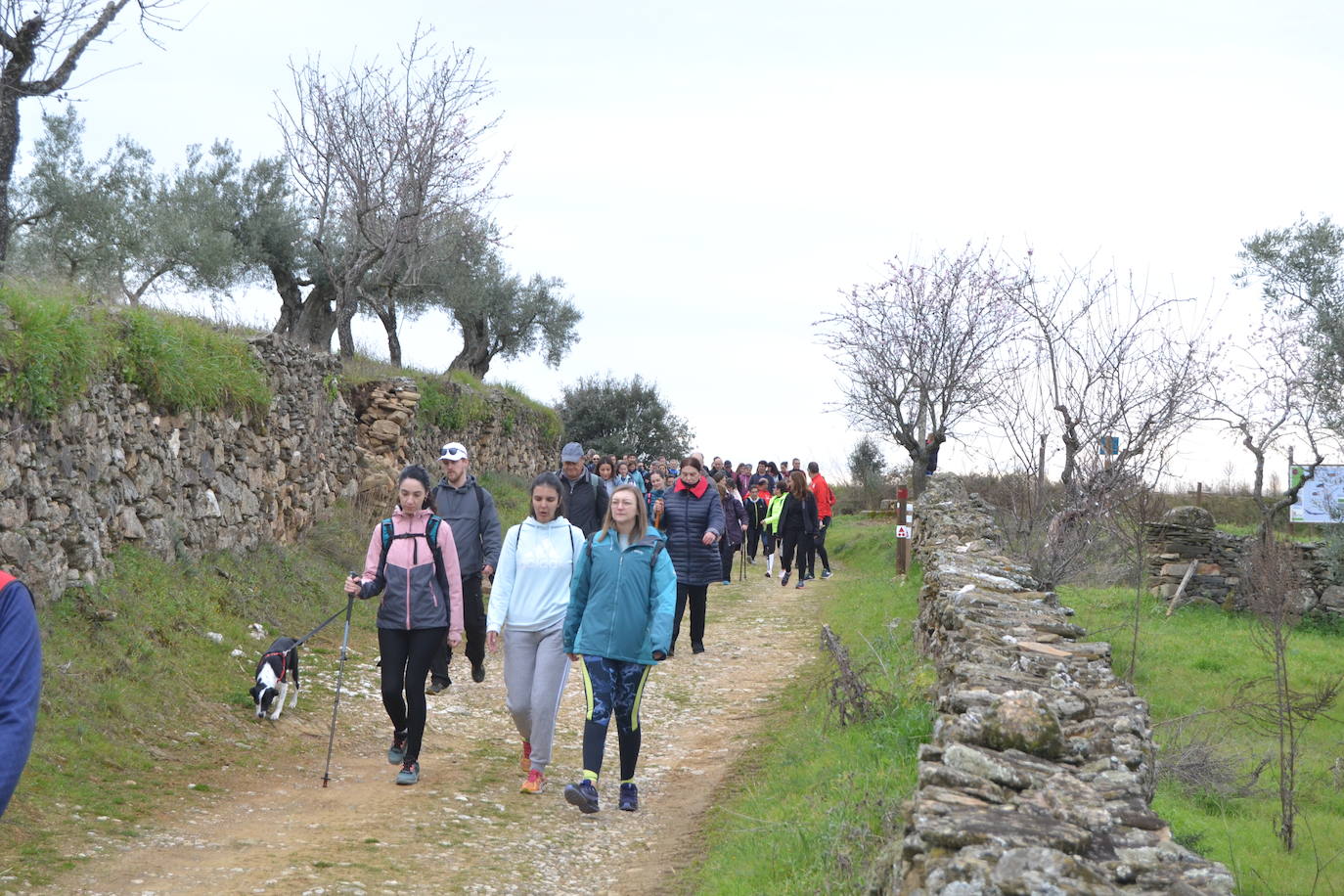 Un bello paseo entre almendros