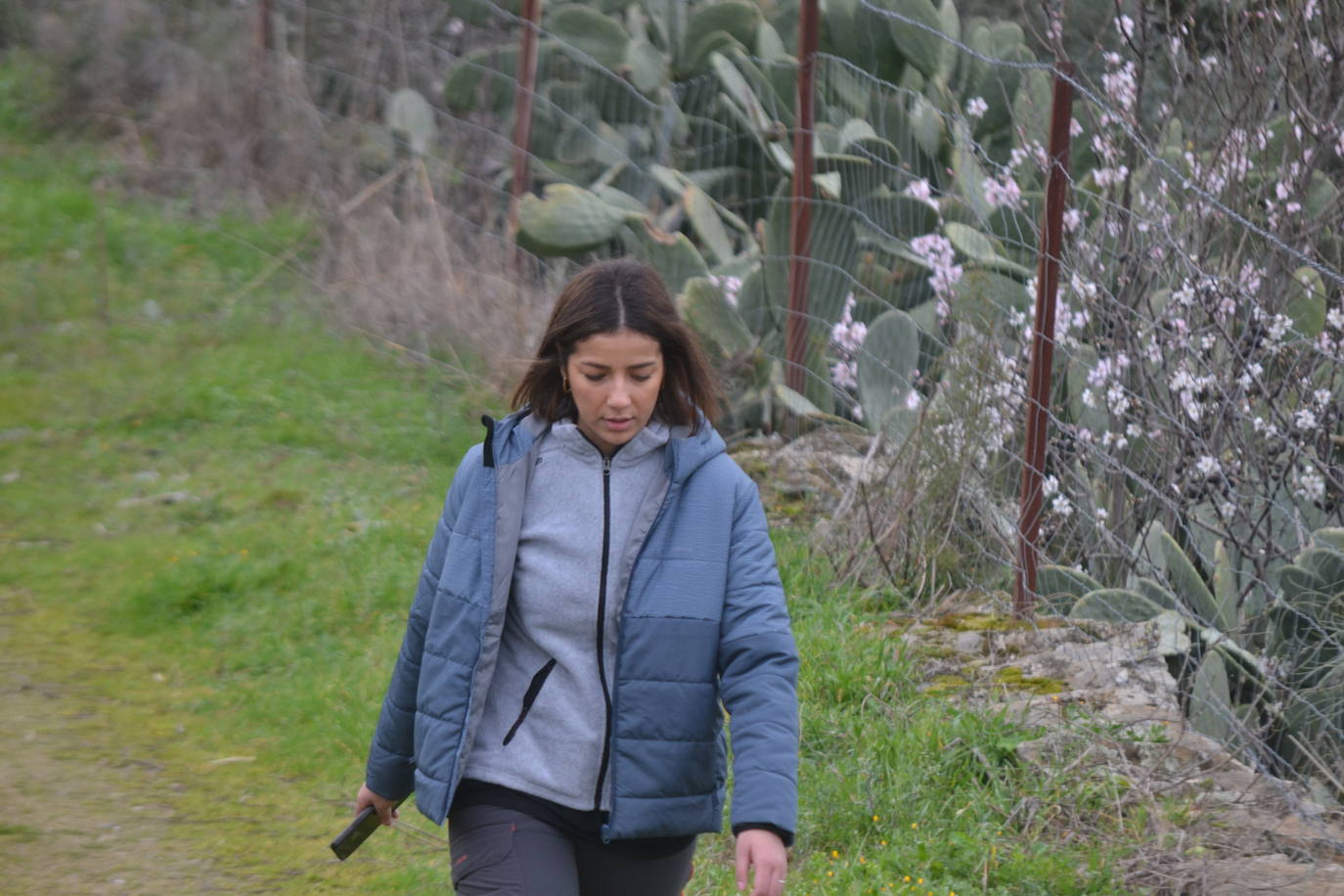 Un bello paseo entre almendros