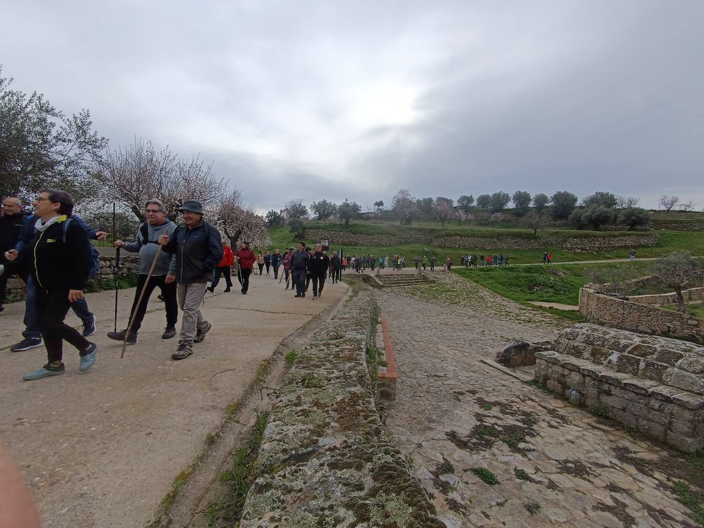 Un bello paseo entre almendros