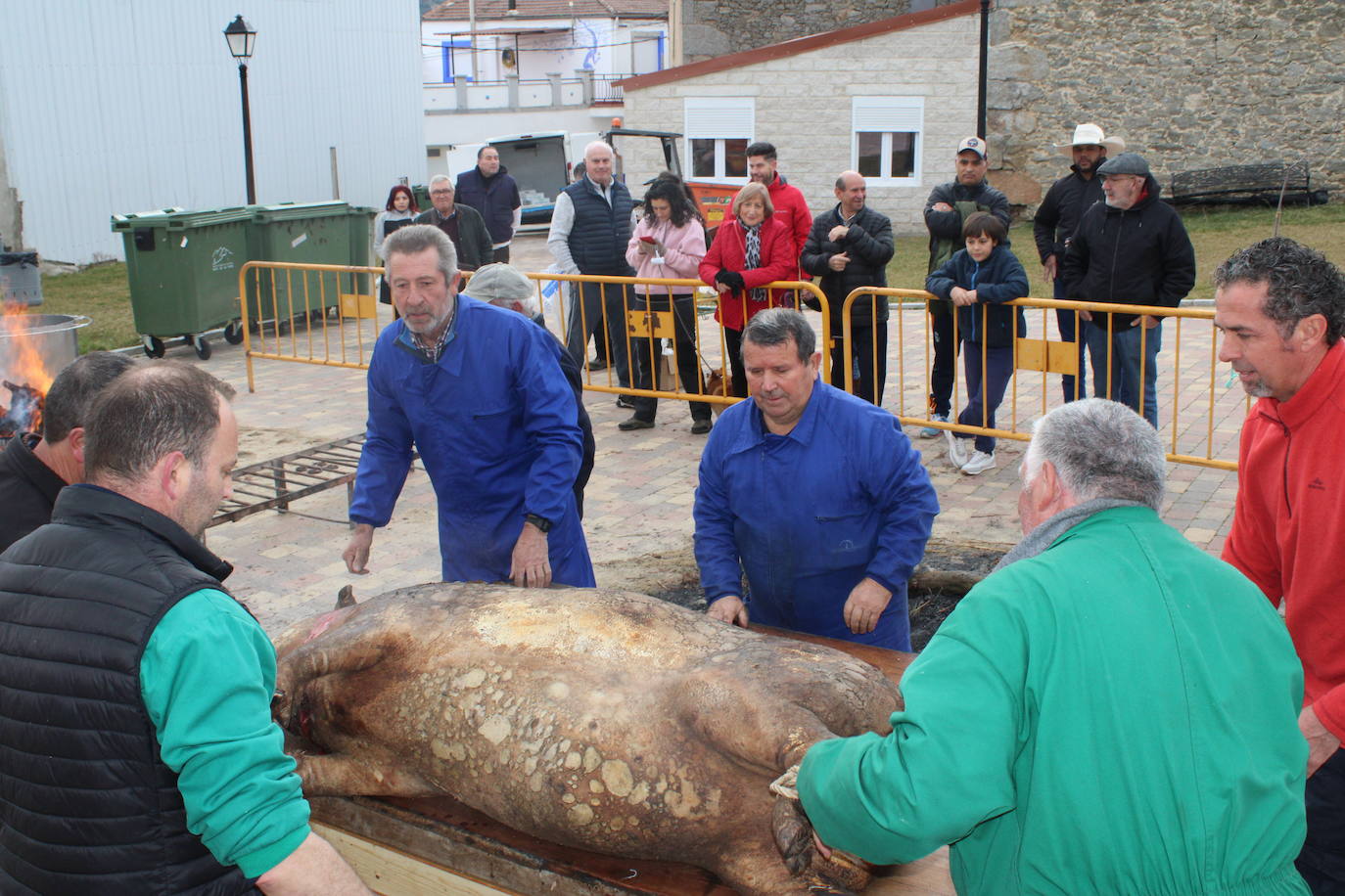 Santibáñez de Béjar disfruta de una multitudinaria fiesta de la matanza