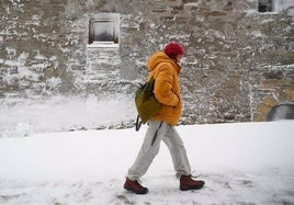 Una persona pasea por la nieve.