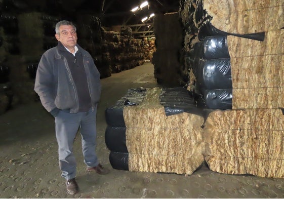 Juan Antonio Cuesta, con balas de lana en su almacén de Macotera.