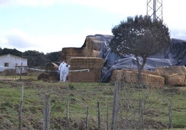 Agentes del Servicio de Criminalística de la Guardia Civil en la finca de Sanjuanejo.