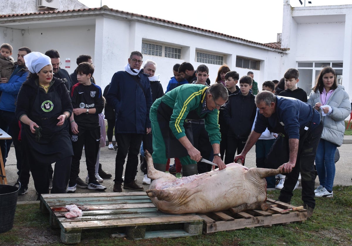 Fiesta de estreno en torno al cerdo en Nuevo Francos con más de 300 comensales