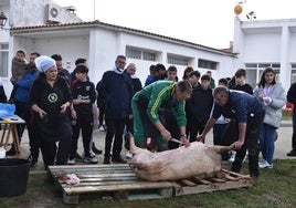 Primeras labores de la matanza de Nuevo Francos.