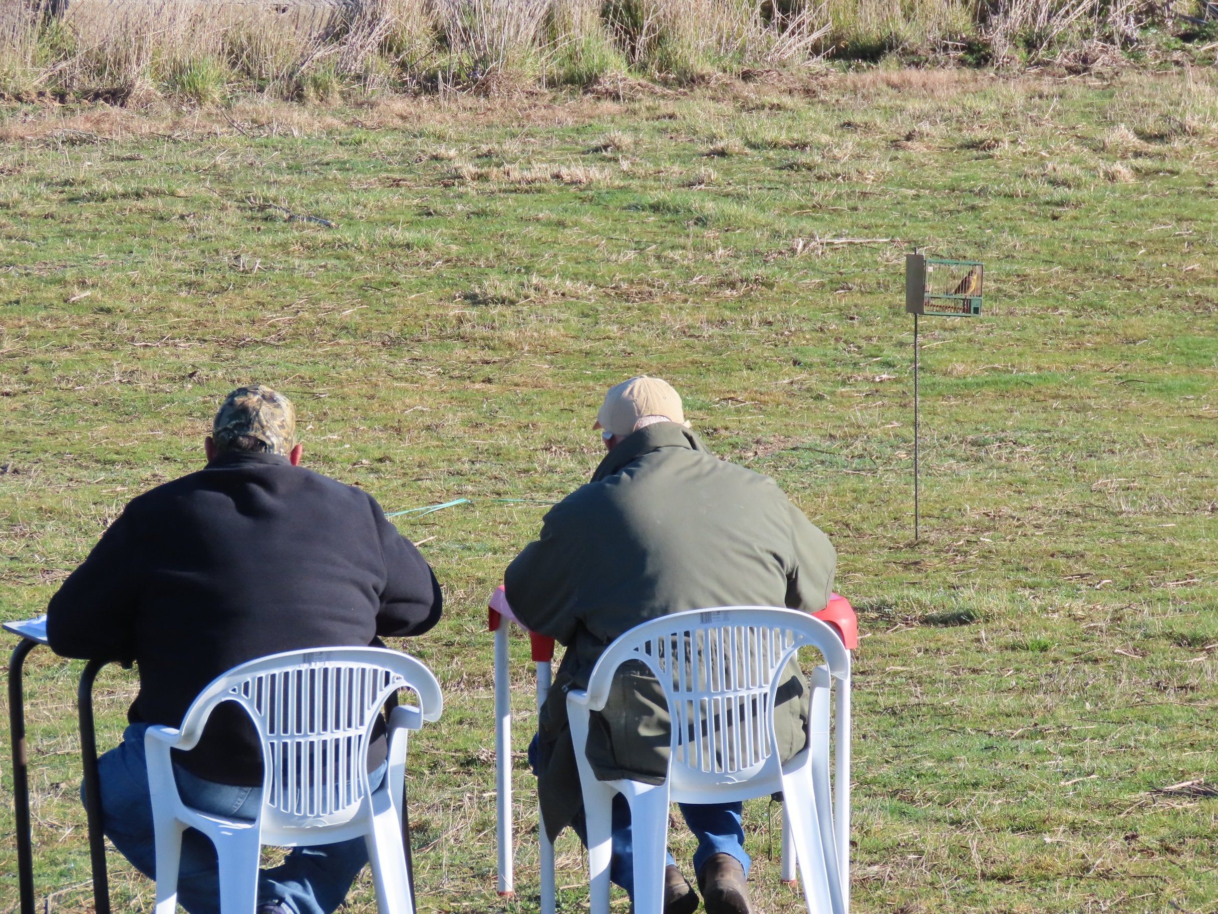 Buen tiempo y 180 participantes en el II concurso silvestrista abierto ‘Ciudad de Peñaranda’