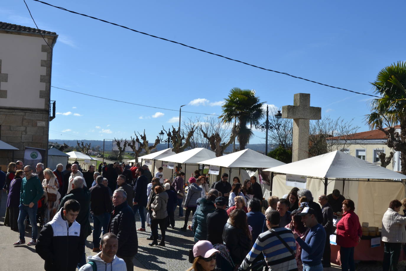 Gran animación en el Día del Almendro de La Fregeneda