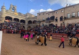 Imagen de uno de los momentos del Carnaval del Toro de Ciudad Rodrigo 2024.