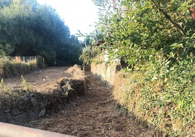 Desbroce en Linares de Riofrío.