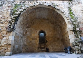 Líquenes en los muros de la Cueva de Salamanca.