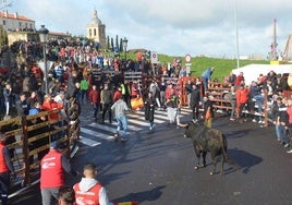 Encierro durante el Carnaval del Toro de Ciudad Rodrigo en la pasada edición de 2024.