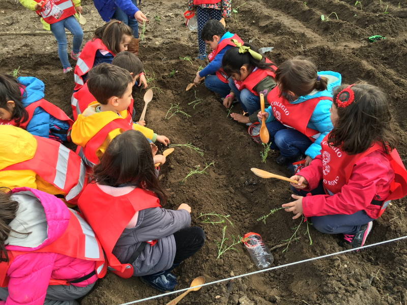 El Globo Rojo: Educación Infantil de excelencia