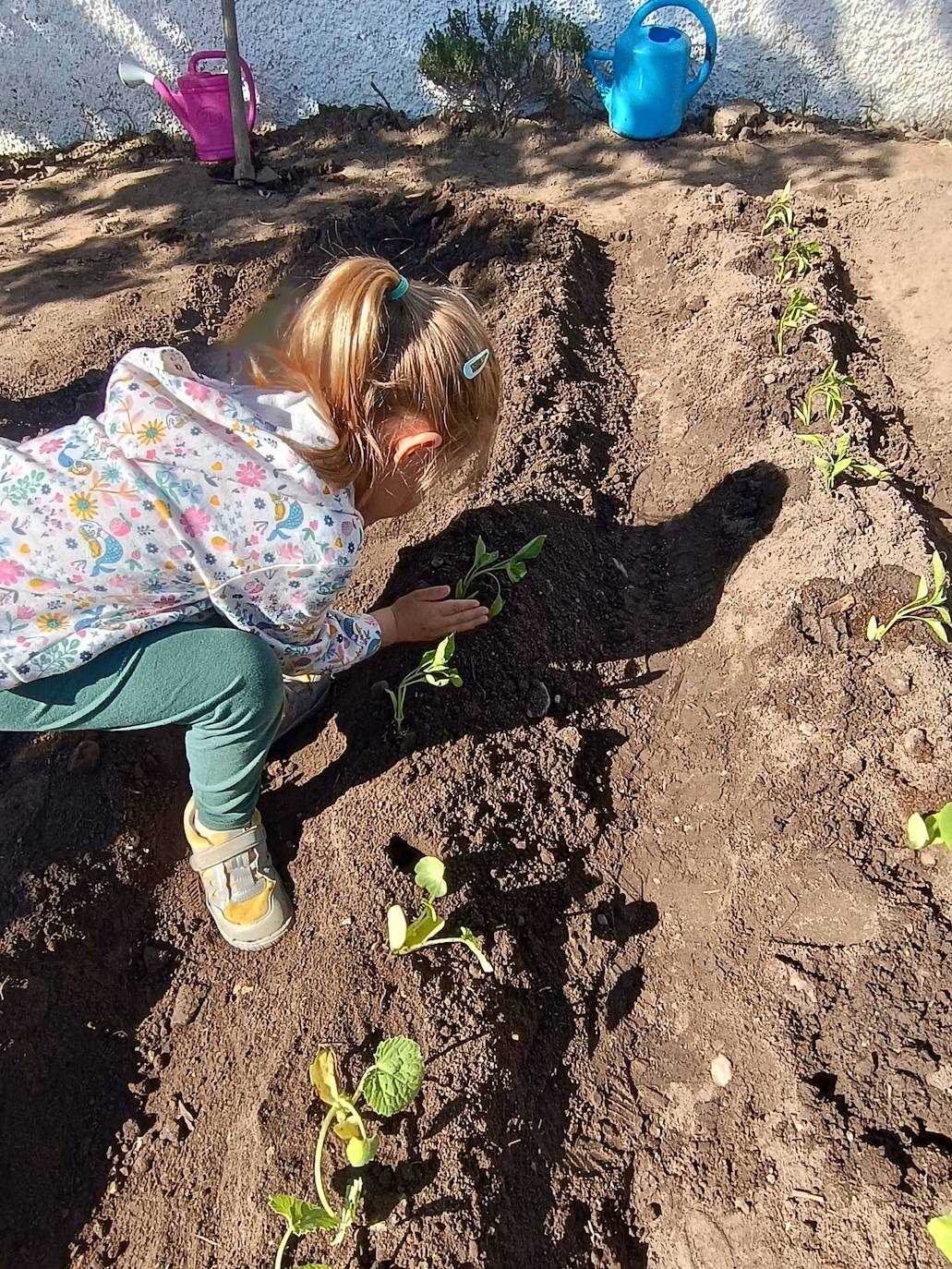 Los Rosales: un cole diferente con los niños como protagonistas jugando en la naturaleza