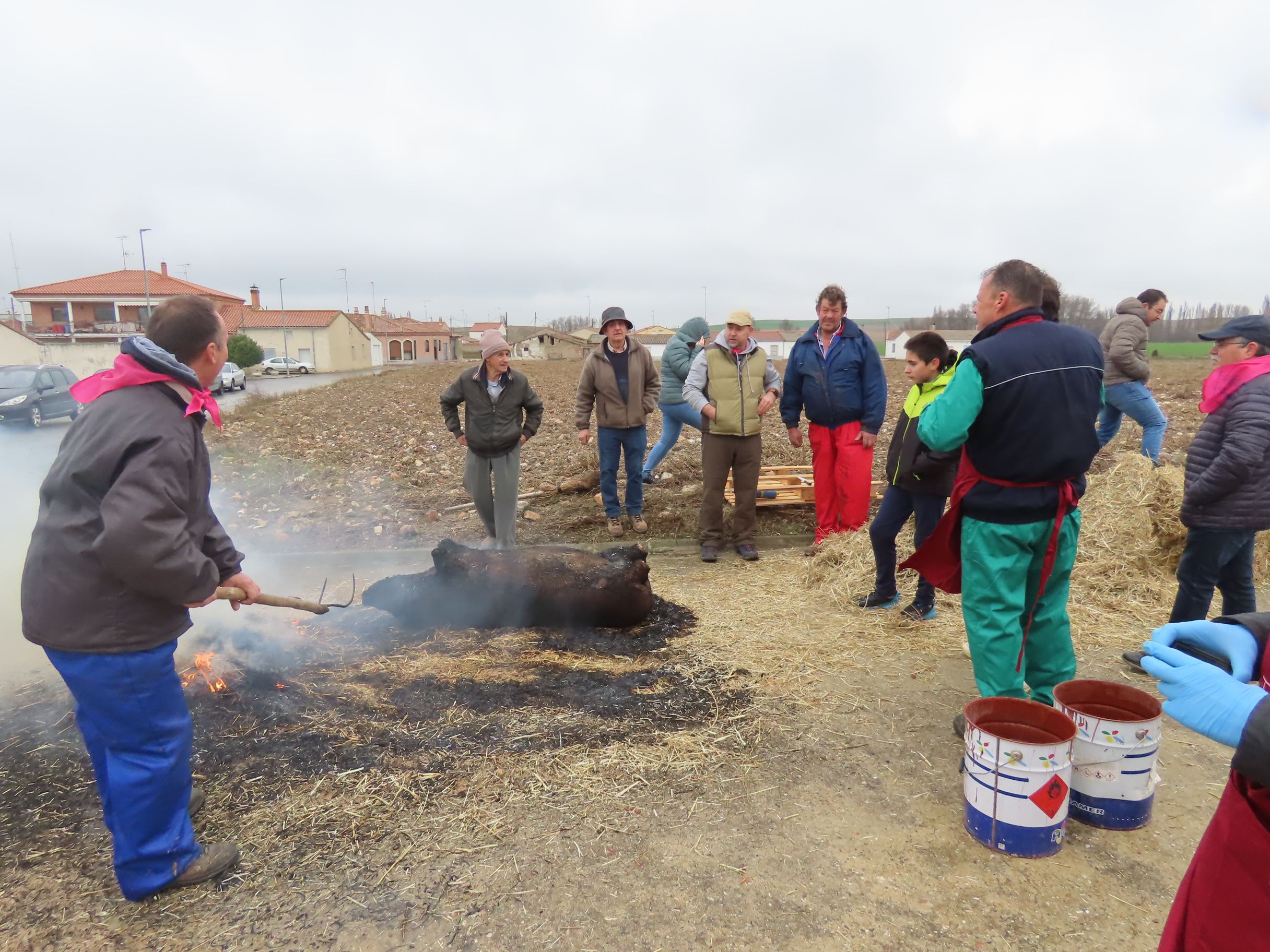 Destacada participación en la II matanza tradicional de Bóveda del Río Almar