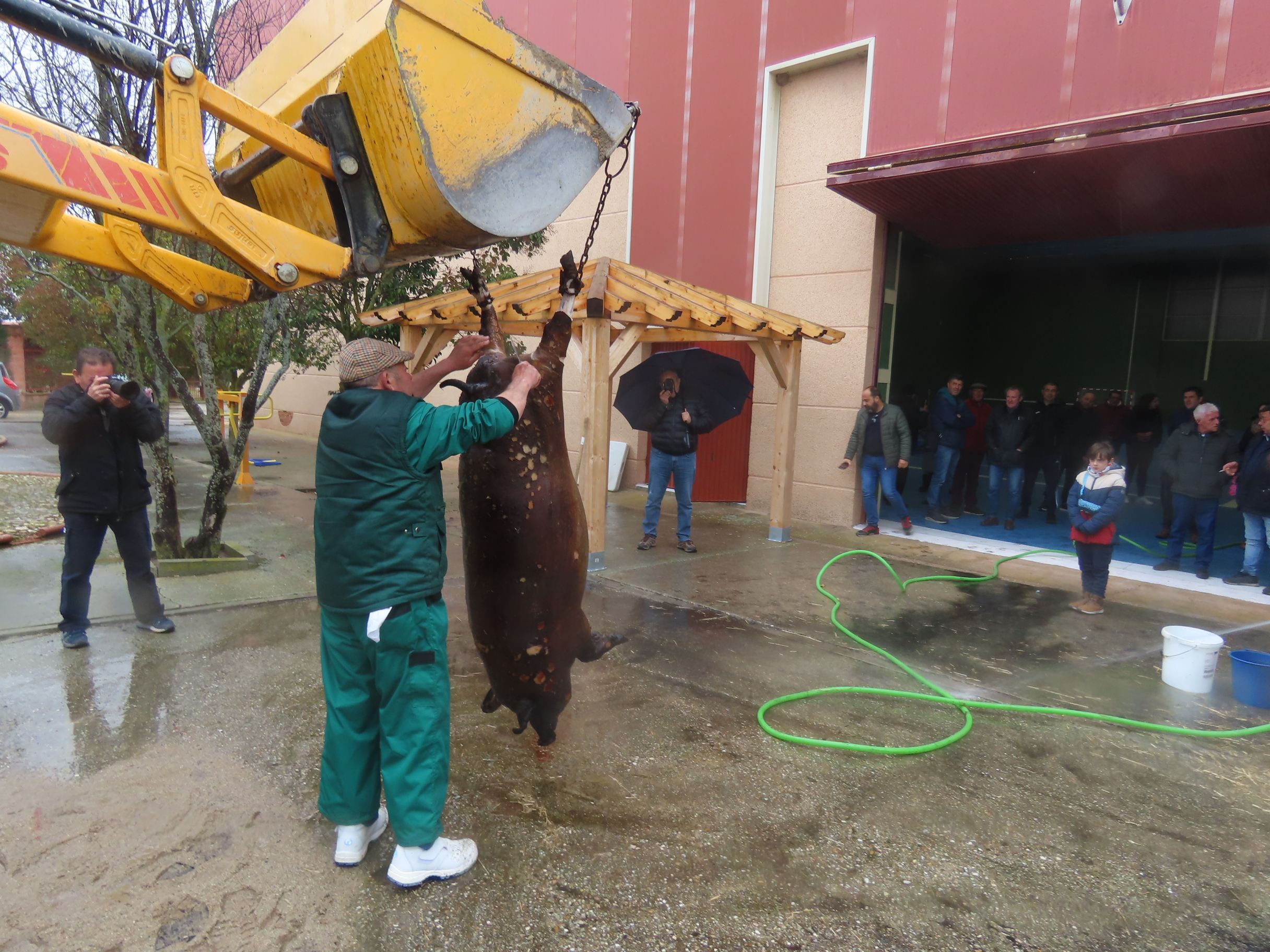 Toda una historia por contar en la fiesta de la matanza de Macotera