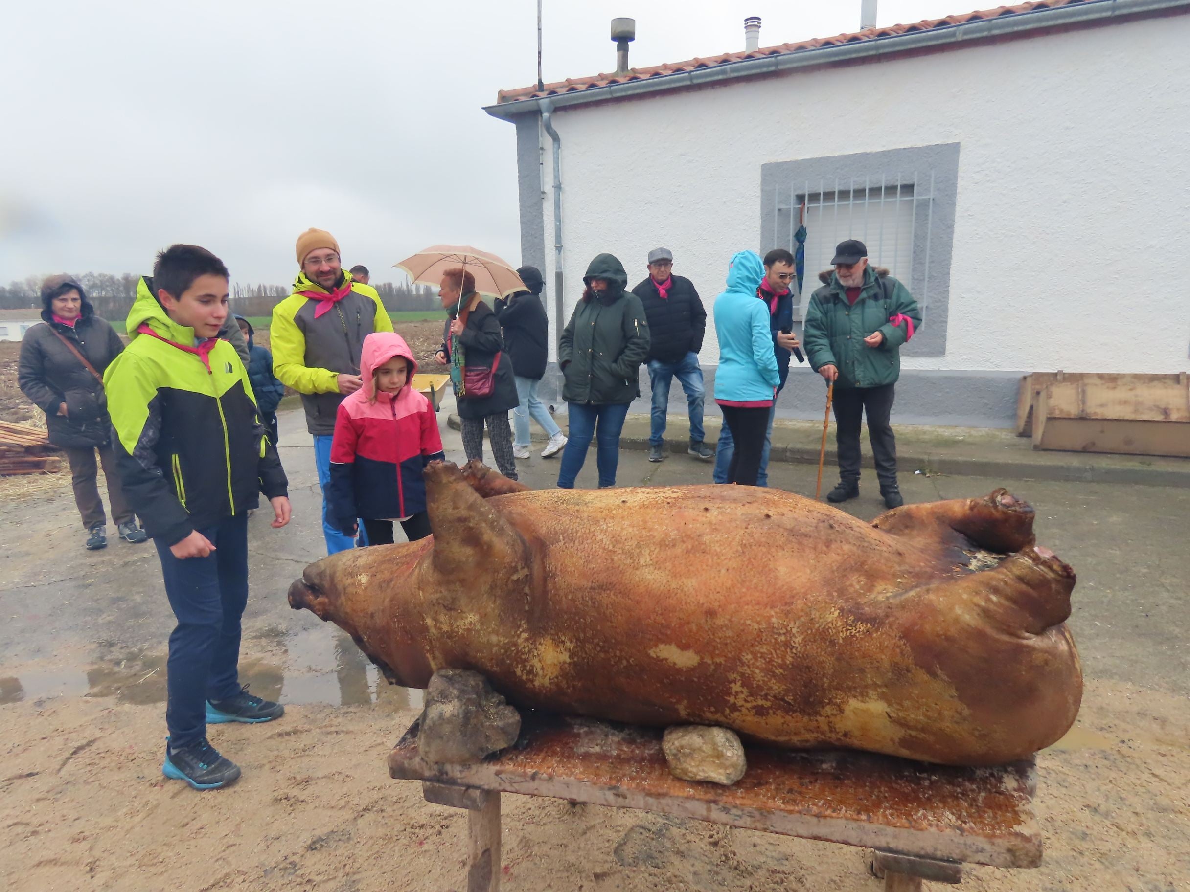 Destacada participación en la II matanza tradicional de Bóveda del Río Almar