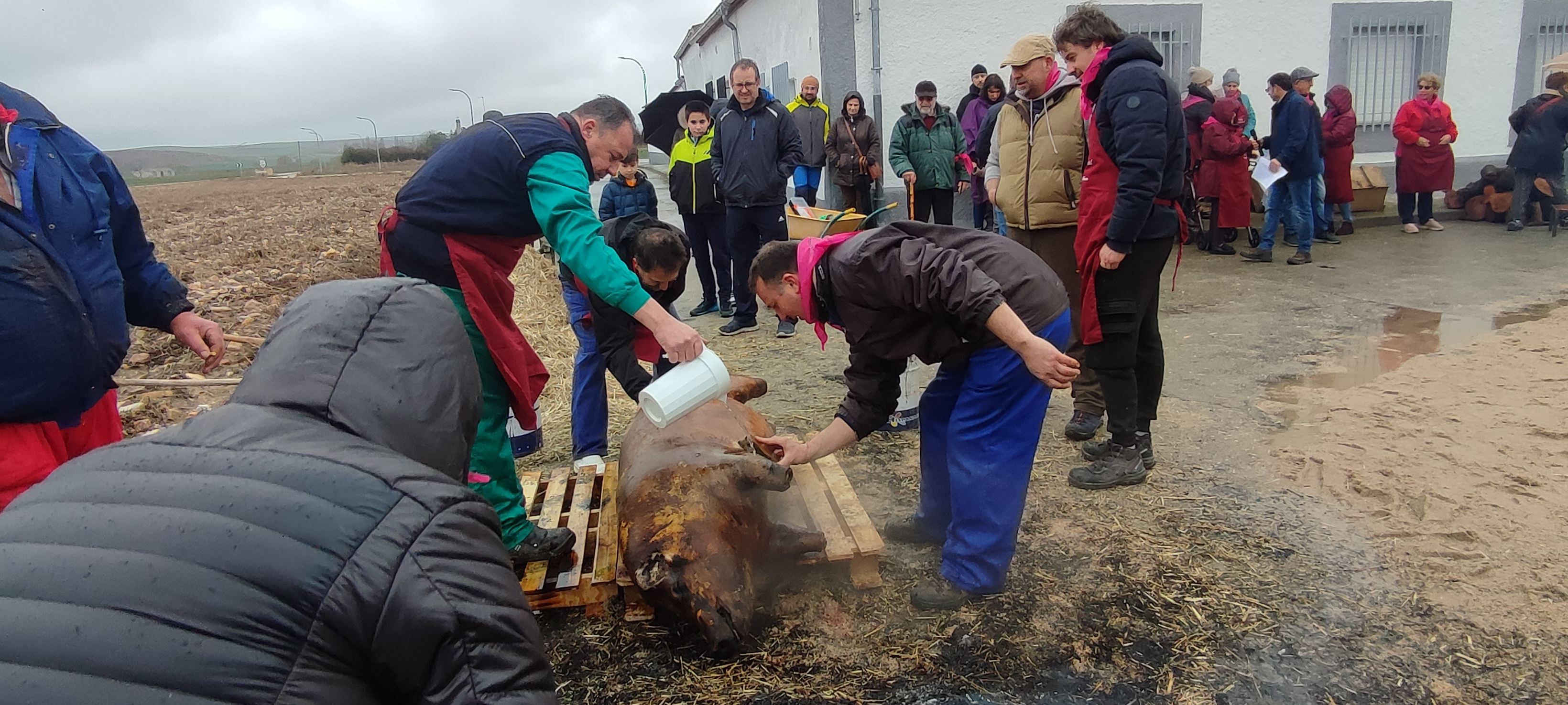 Destacada participación en la II matanza tradicional de Bóveda del Río Almar