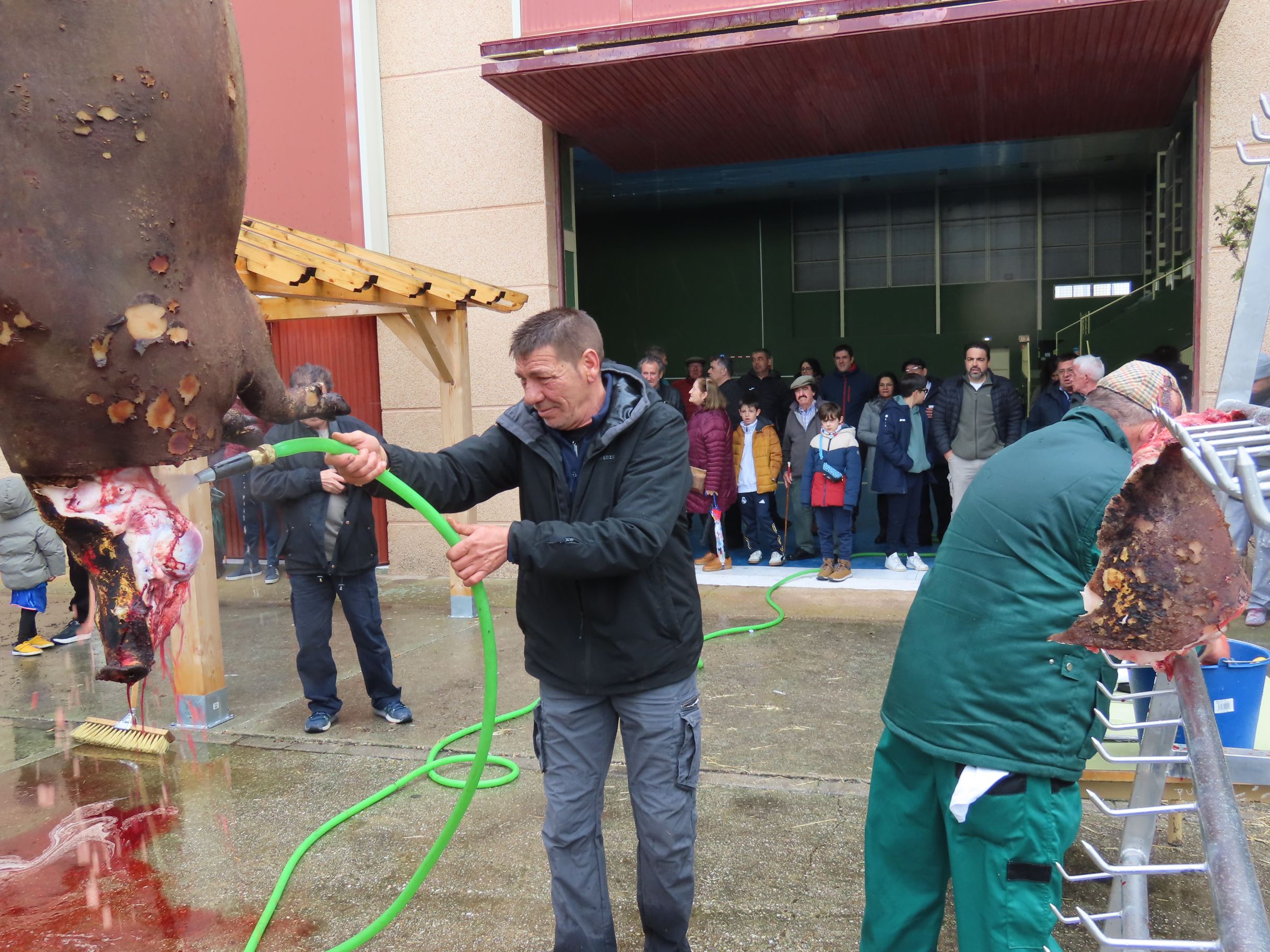 Toda una historia por contar en la fiesta de la matanza de Macotera