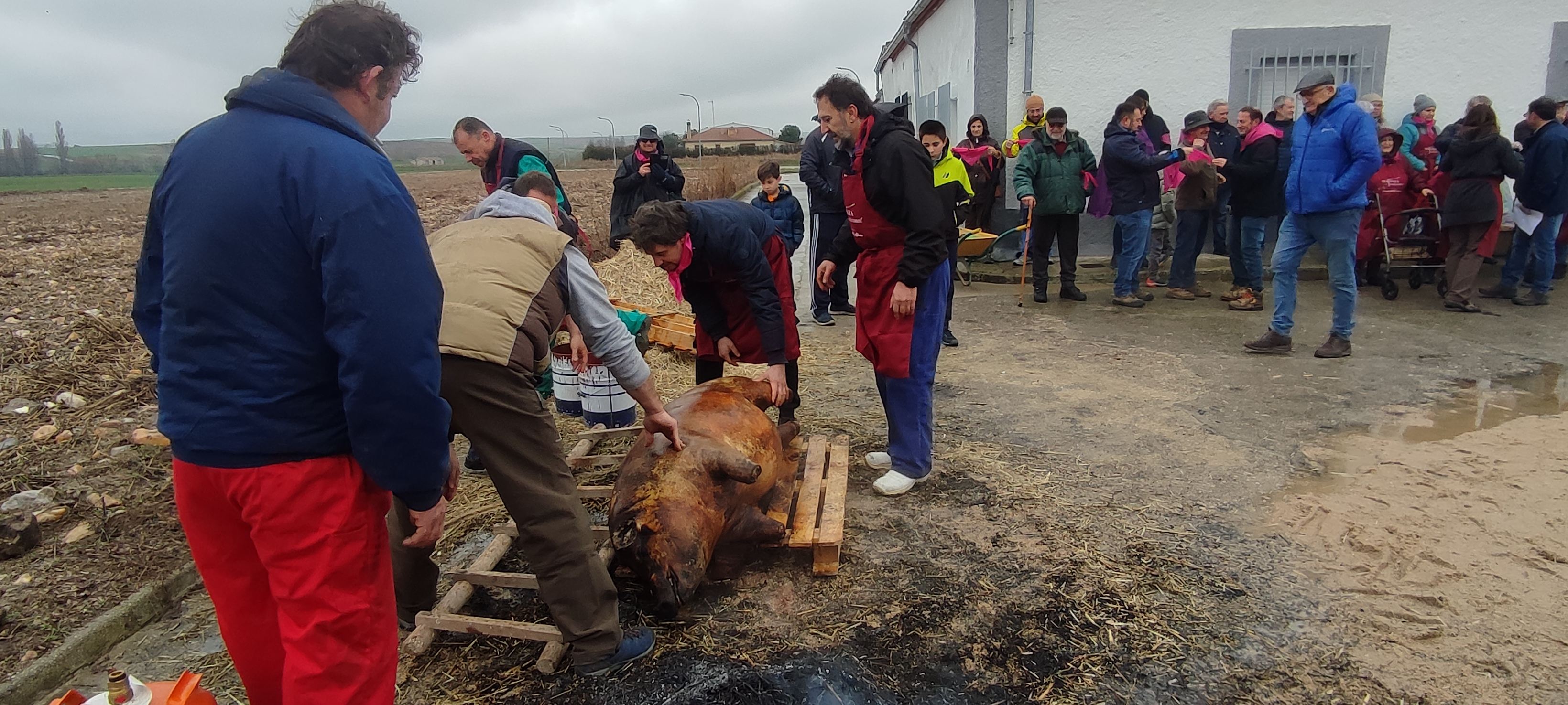 Destacada participación en la II matanza tradicional de Bóveda del Río Almar