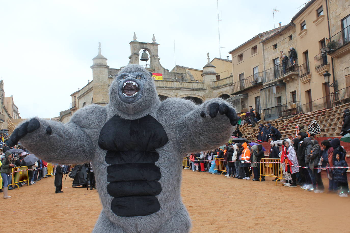 El desfile de disfraces del Carnaval del Toro resiste al frío y el agua