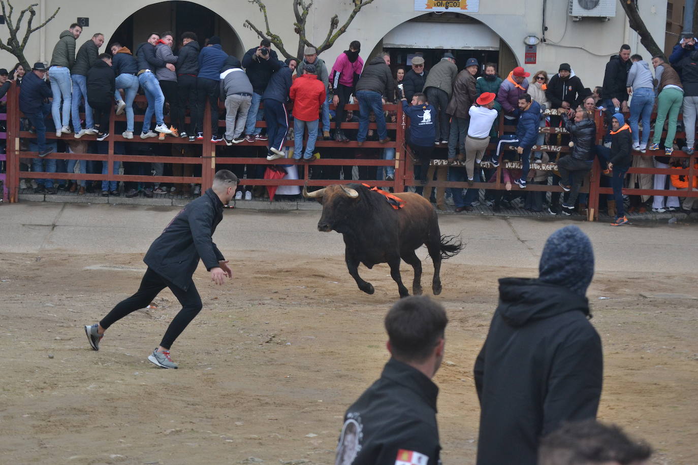 “Potrosillo” abre el Carnaval del Toro con un multitudinario festejo