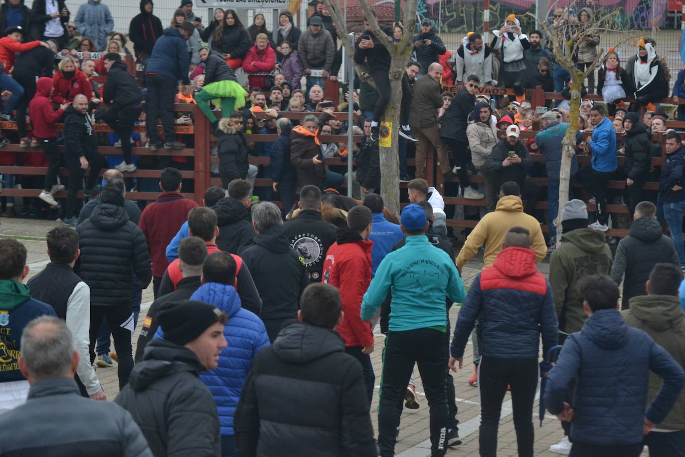 “Potrosillo” abre el Carnaval del Toro con un multitudinario festejo