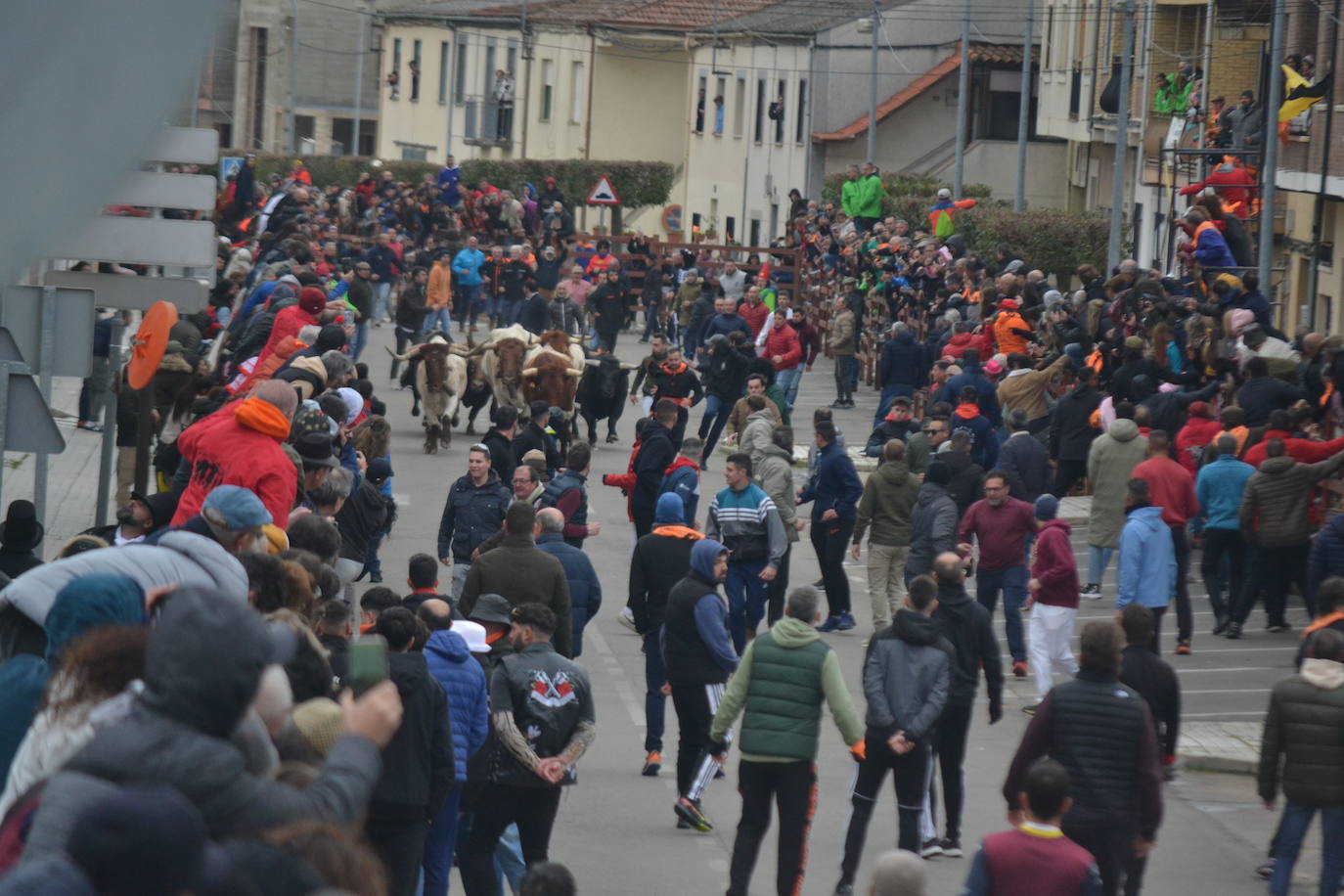 El primer encierro del Carnaval del Toro se salda con un corredor herido