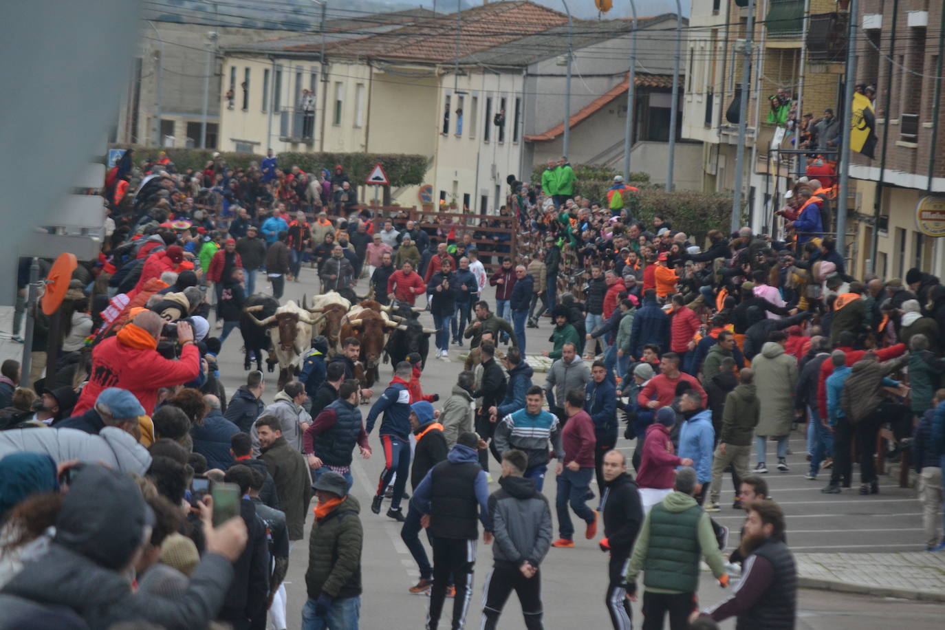 El primer encierro del Carnaval del Toro se salda con un corredor herido