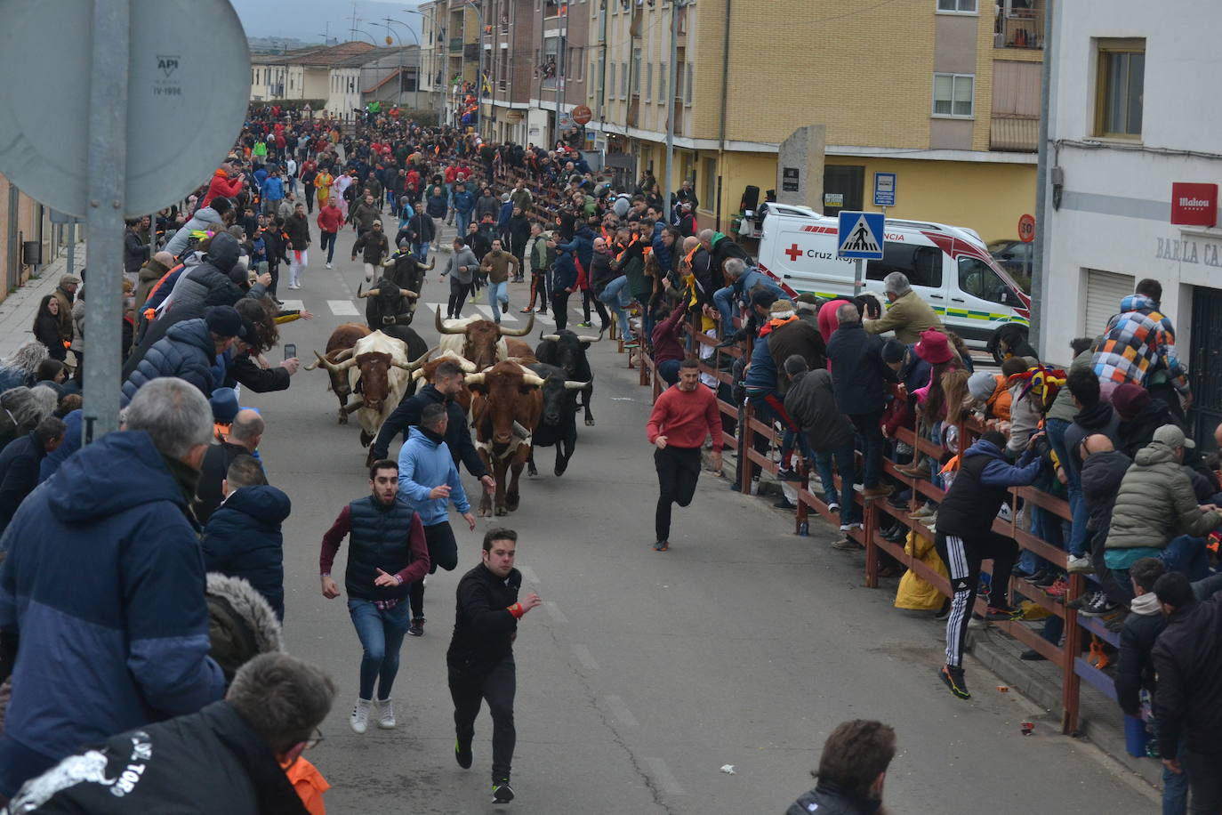 El primer encierro del Carnaval del Toro se salda con un corredor herido