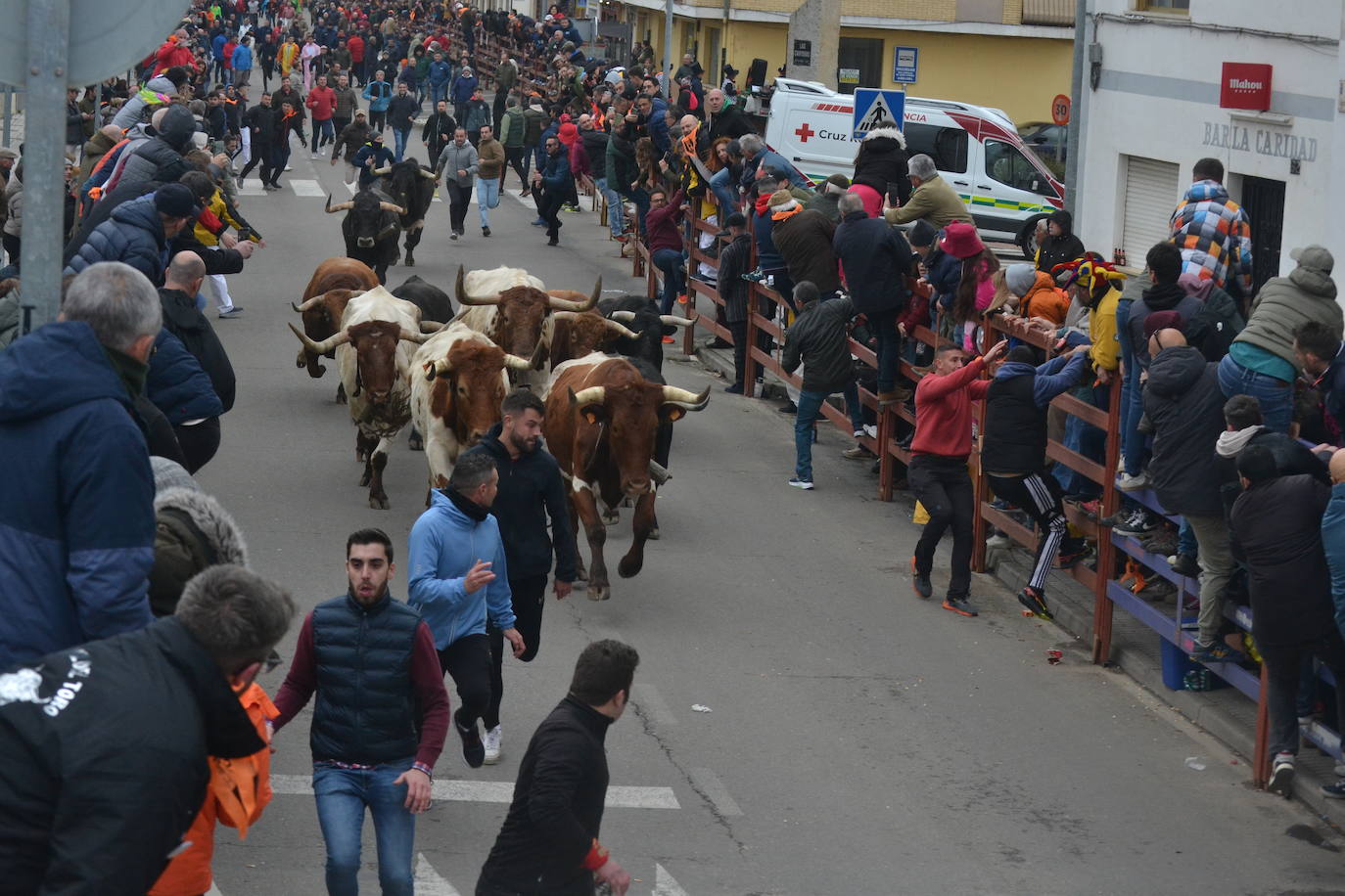 El primer encierro del Carnaval del Toro se salda con un corredor herido