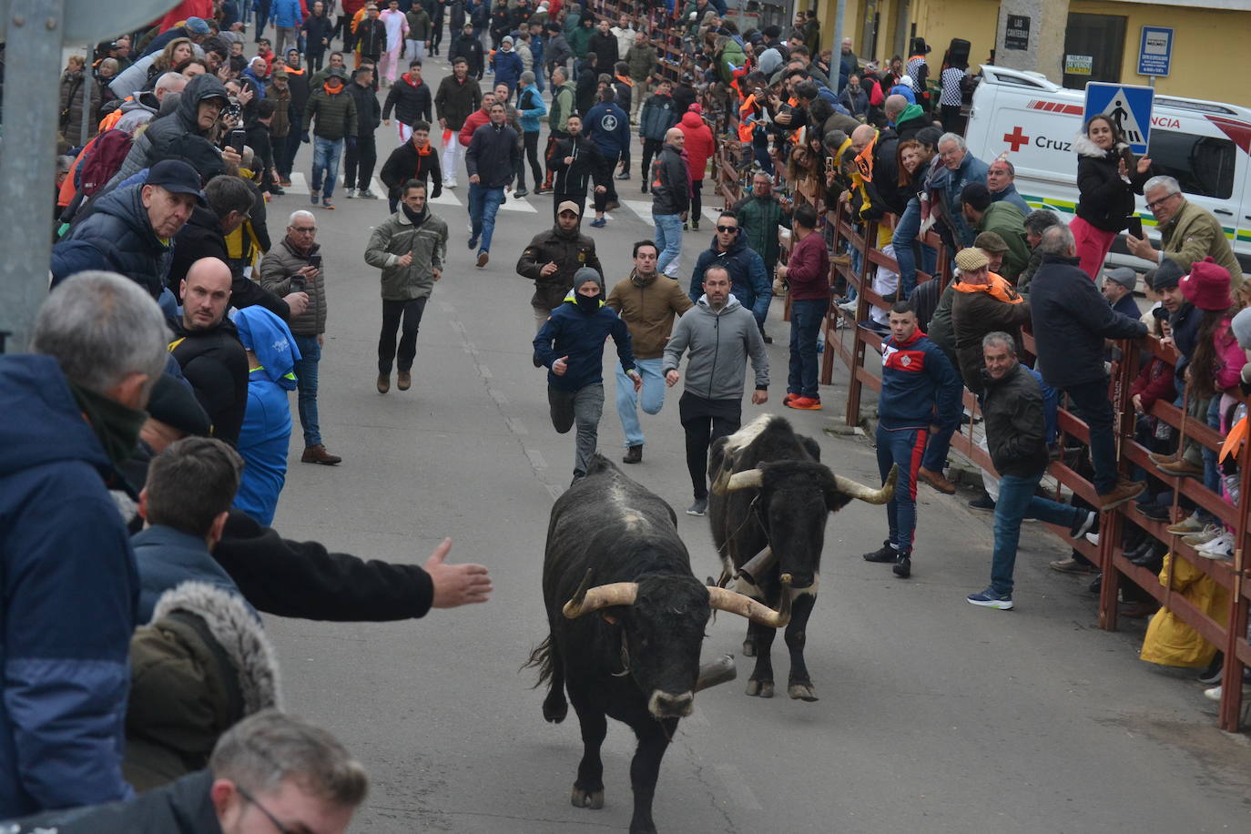 El primer encierro del Carnaval del Toro se salda con un corredor herido