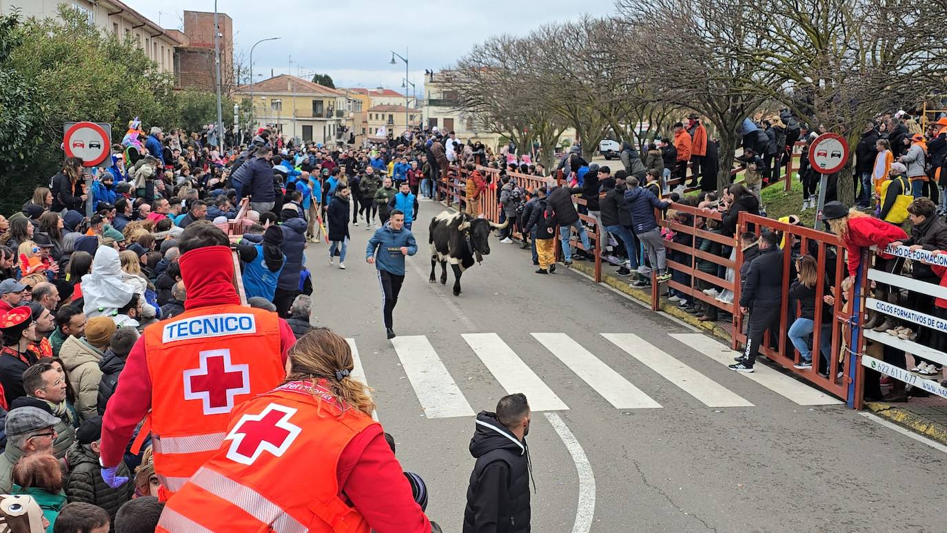 El primer encierro del Carnaval del Toro se salda con un corredor herido