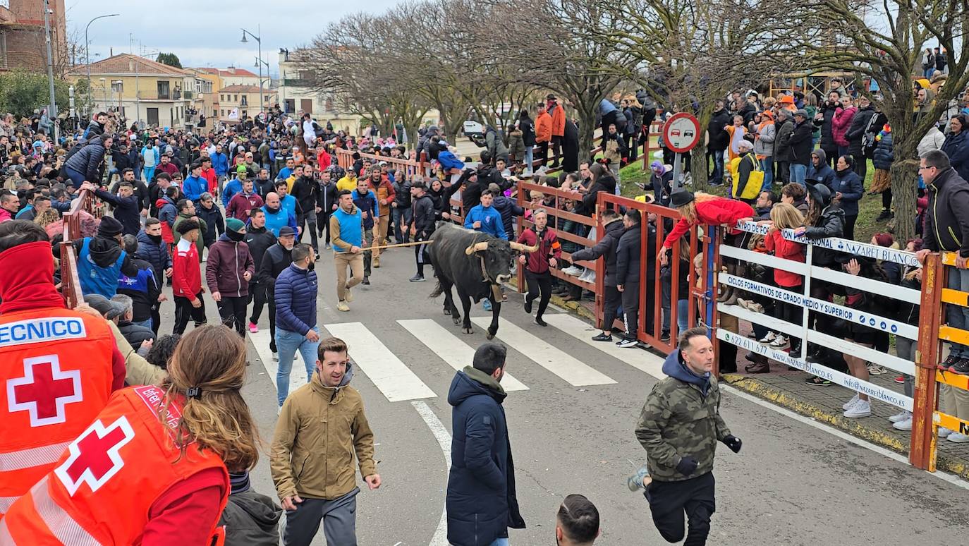 El primer encierro del Carnaval del Toro se salda con un corredor herido