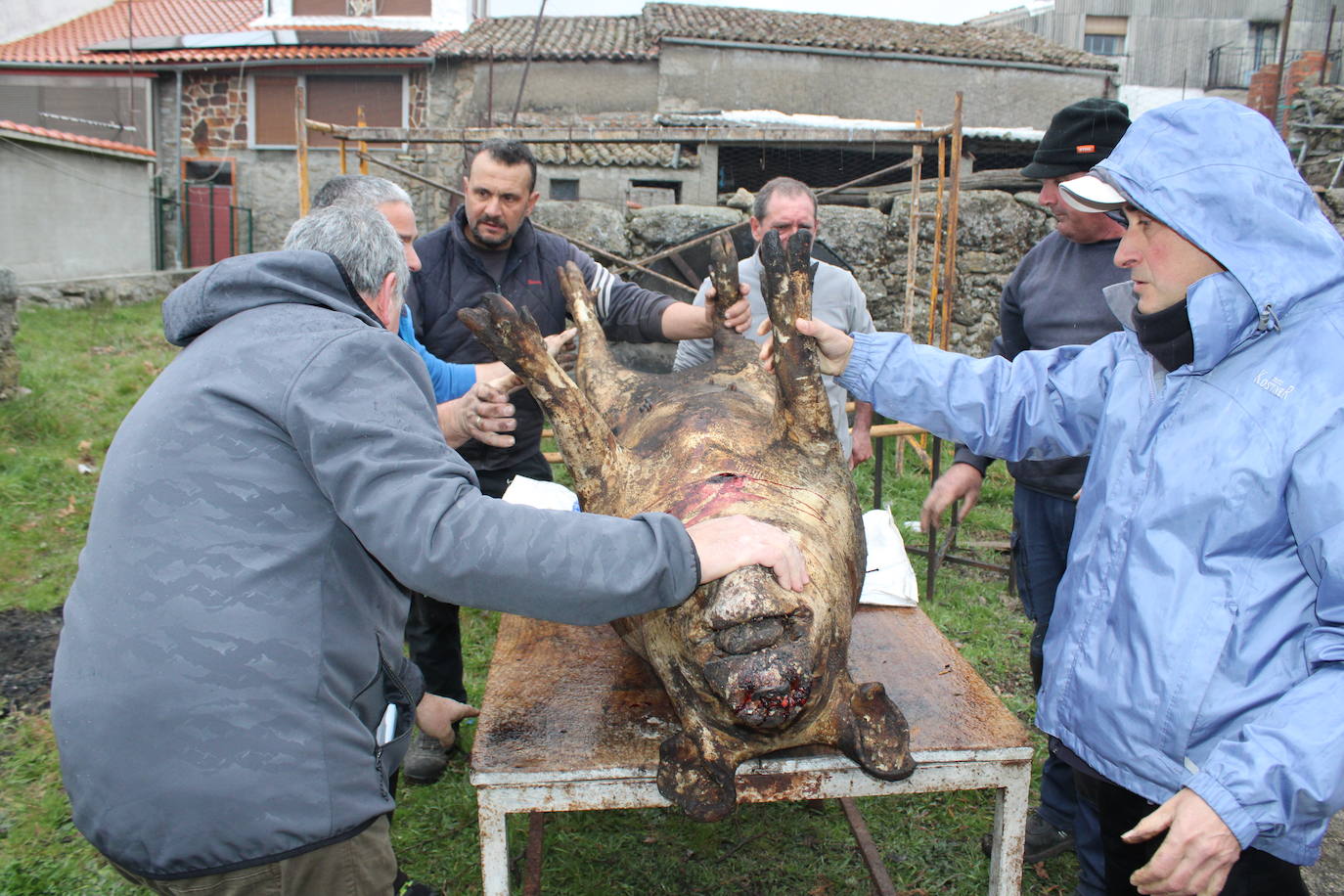 Horcajo de Montemayor se vuelca con su matanza popular