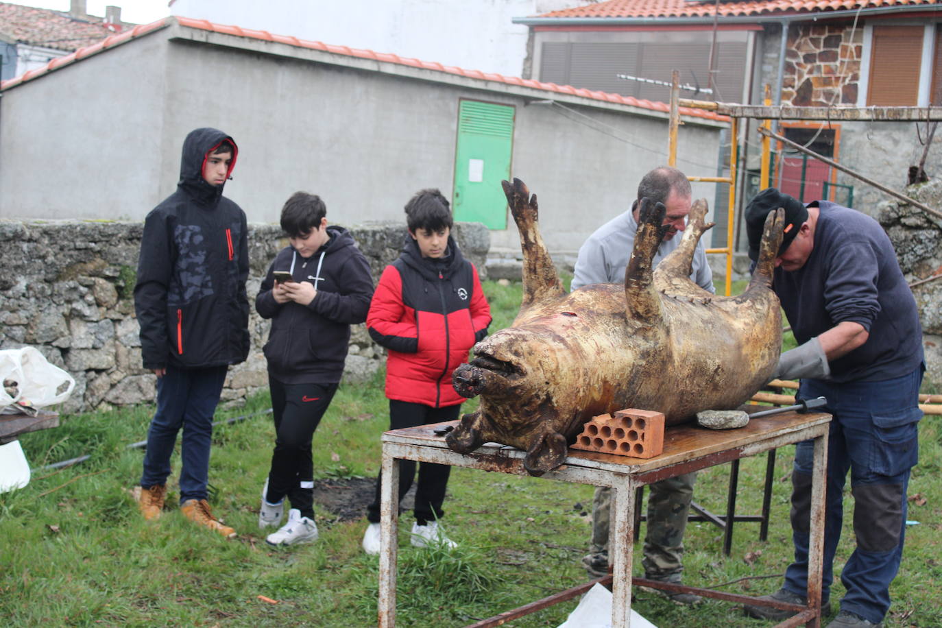 Horcajo de Montemayor se vuelca con su matanza popular