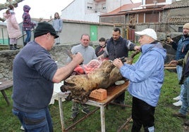 Imagen del despiece del cerdo en Horcajo