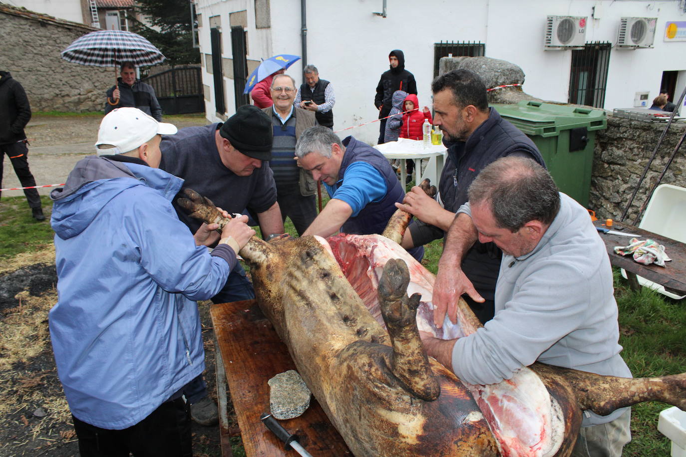 Horcajo de Montemayor se vuelca con su matanza popular